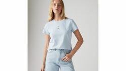 THE PERFECT TEE CACTUS PLANT